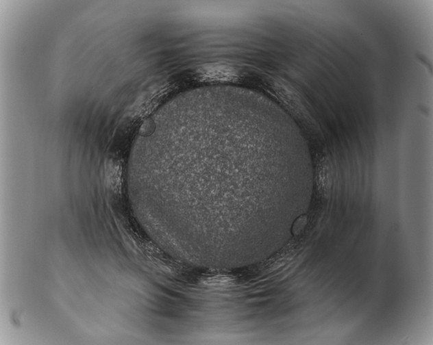 X0000103160551200809051702