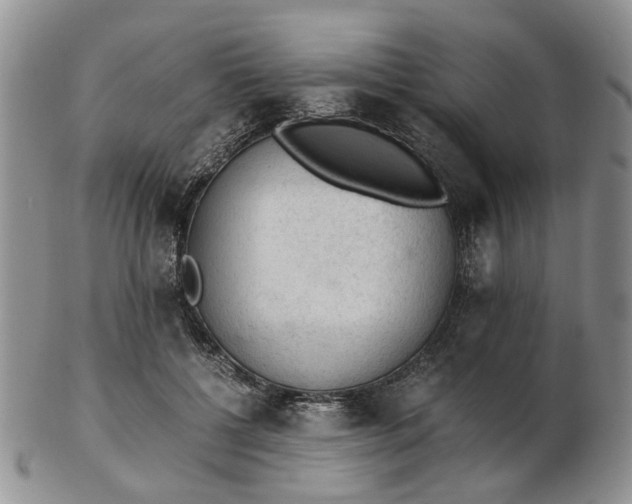 X0000103160552200809051702