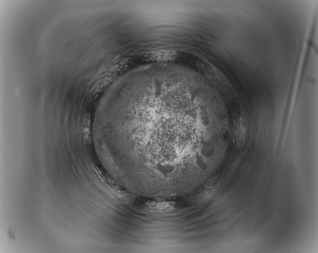 X0000103160553200809051702