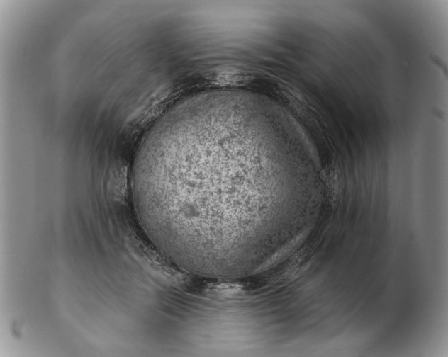 X0000103160554200809051702