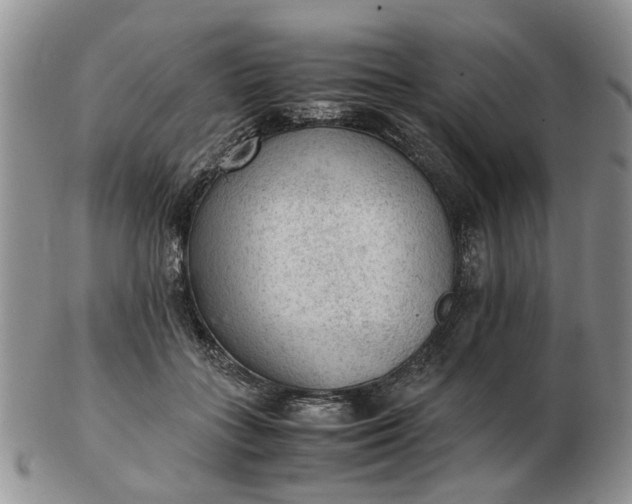 X0000103160555200809051702