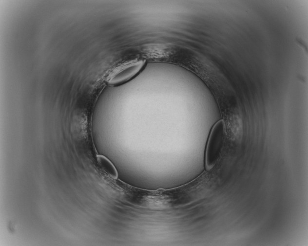 X0000103160556200809051702