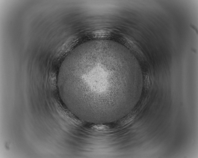 X0000103160557200809051702