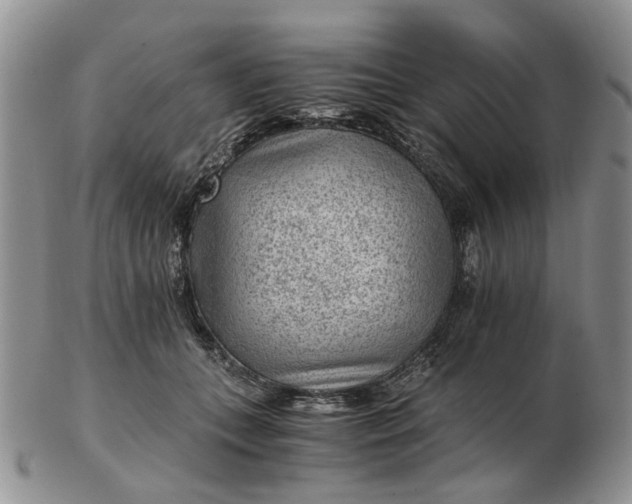 X0000103160559200809051702