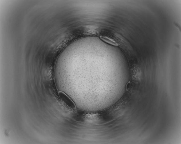 X0000103160560200809051702