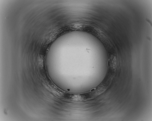 X0000103160562200809051702