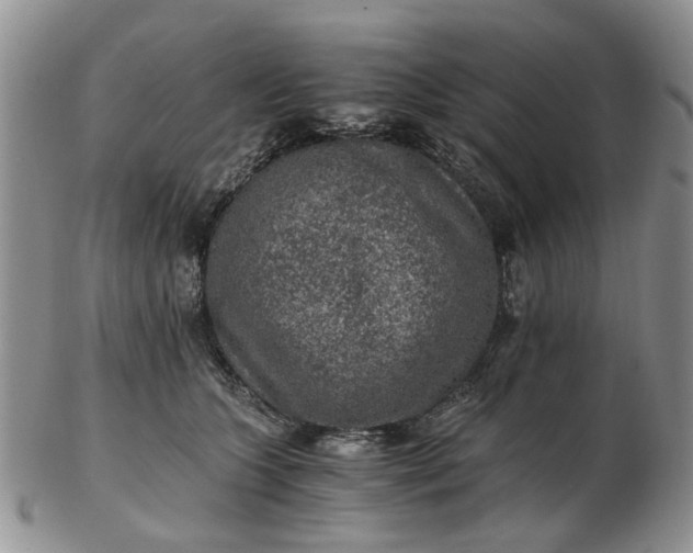 X0000103160563200809051702