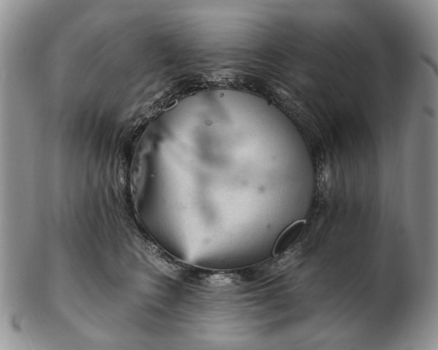 X0000103160566200809051702