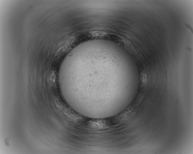 X0000103160567200809051702