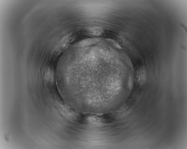 X0000103160568200809051702