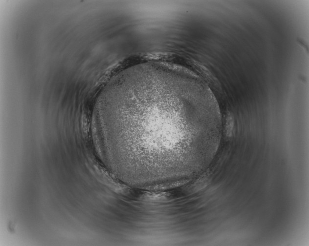 X0000103160569200809051702