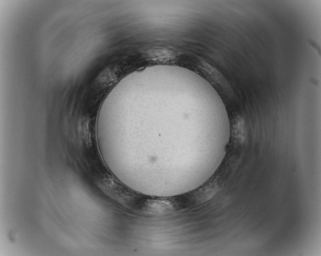 X0000103160572200809051702