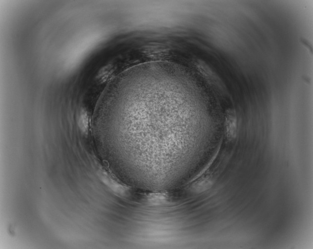 X0000103160574200809051702