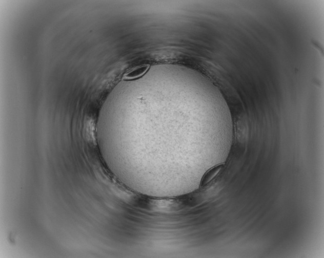 X0000103160575200809051702