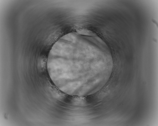 X0000103160576200809051702