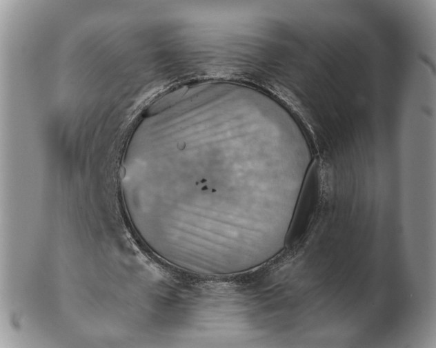 X0000103160577200809051701