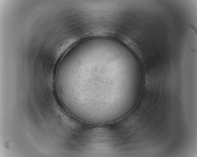 X0000103160578200809051701