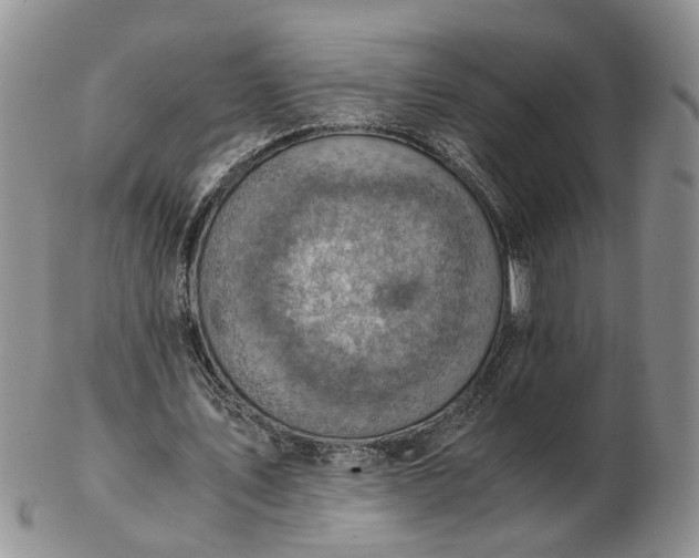 X0000103160579200809051701