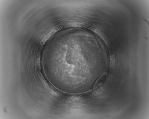 X0000103160581200809051701