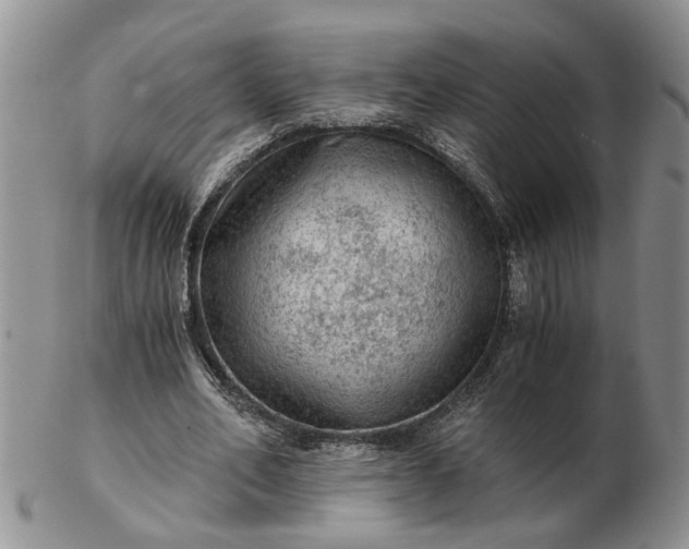 X0000103160582200809051701