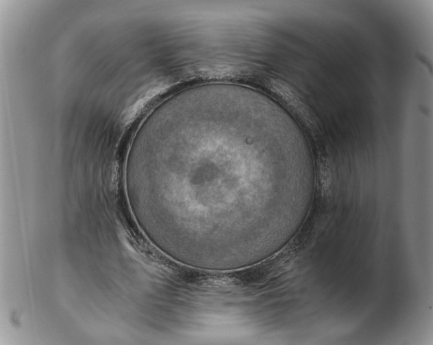 X0000103160583200809051701