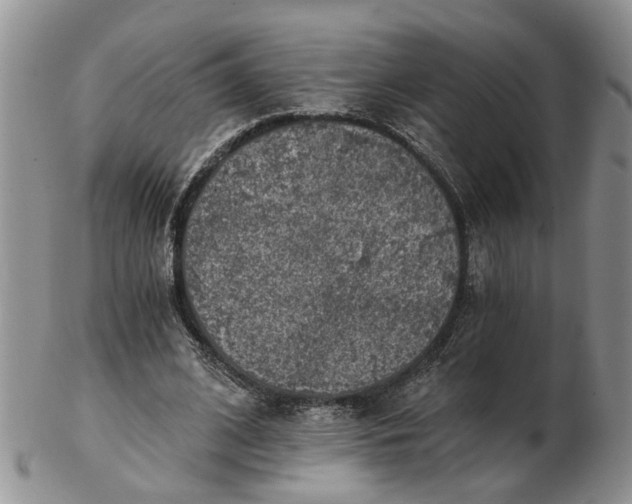 X0000103160584200809051701