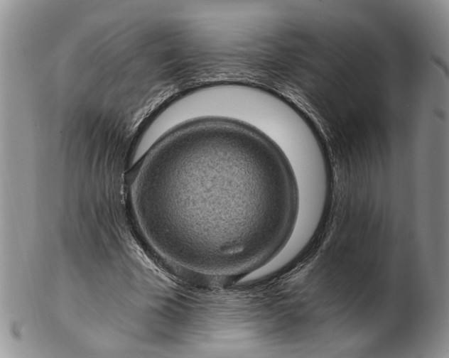 X0000103160585200809051701