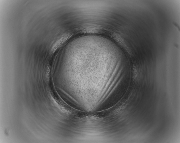 X0000103160586200809051701