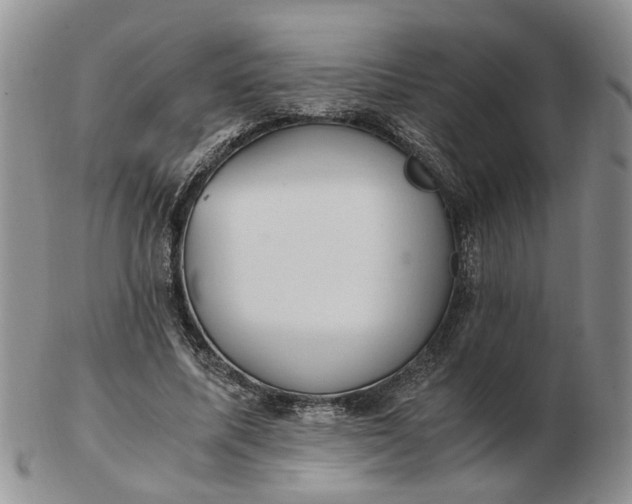 X0000103160587200809051701