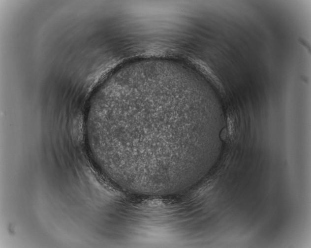 X0000103160588200809051701