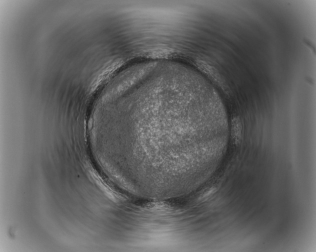 X0000103160589200809051701