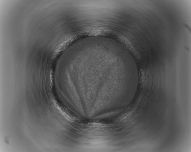 X0000103160590200809051701