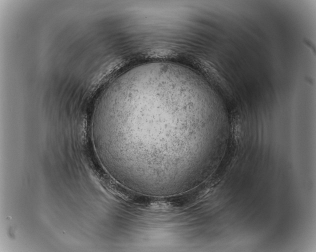 X0000103160591200809051701