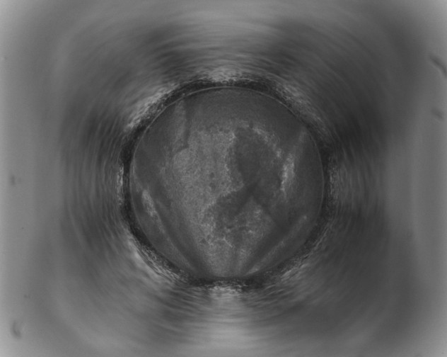 X0000103160592200809051701