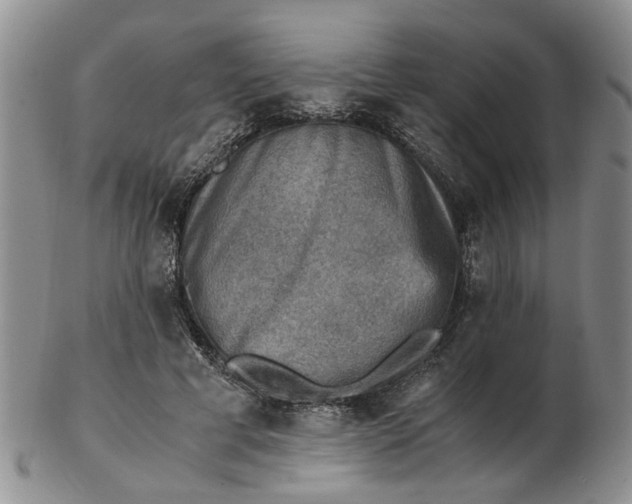 X0000103160593200809051701