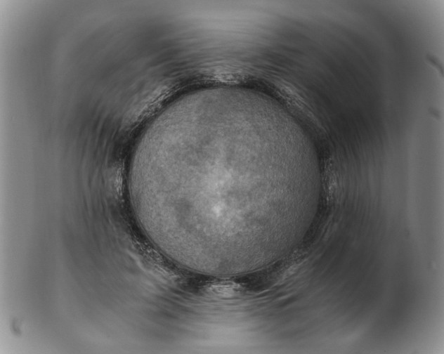 X0000103160595200809051701