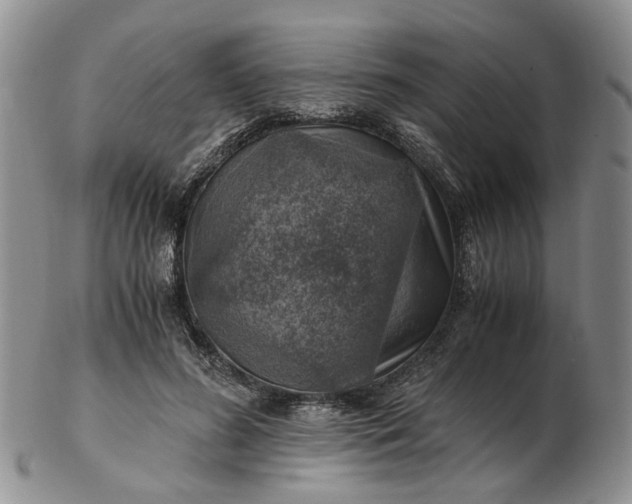 X0000103160596200809051701