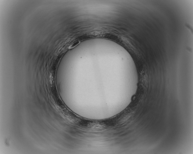 X0000103160597200809051701