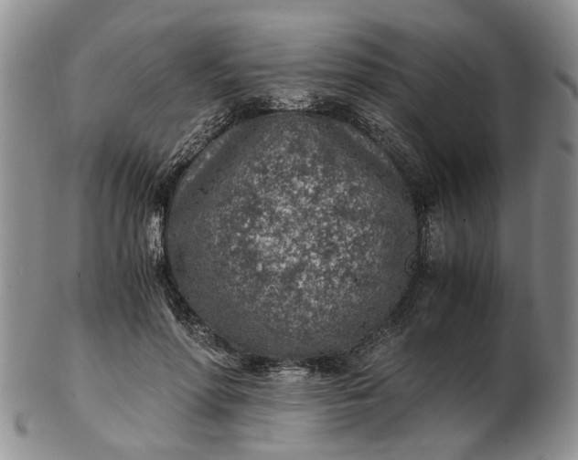 X0000103160598200809051701