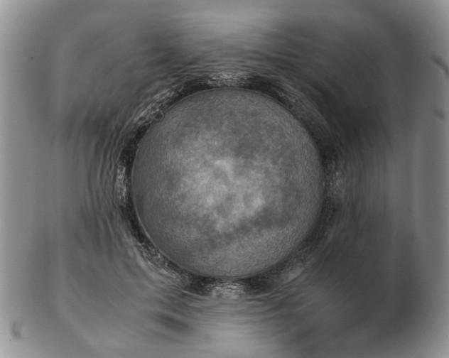 X0000103160599200809051701