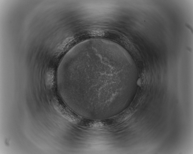 X0000103160600200809051701