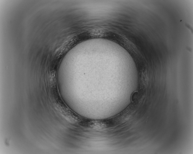 X0000103160601200809051701