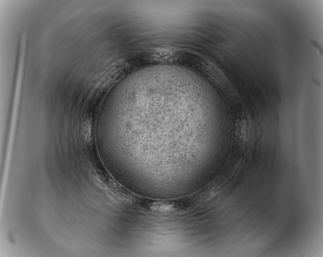 X0000103160602200809051701