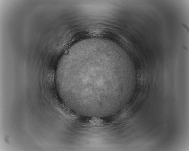 X0000103160603200809051701