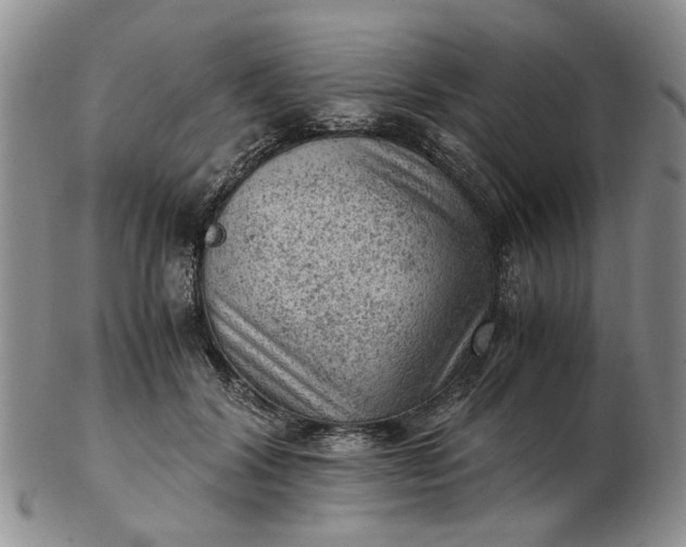 X0000103160604200809051701