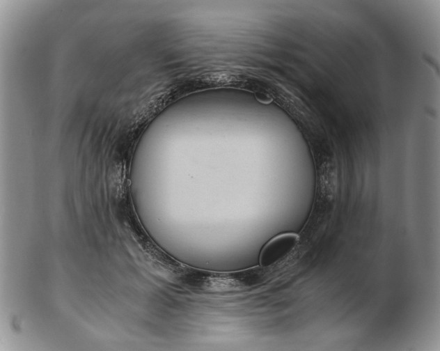 X0000103160605200809051701