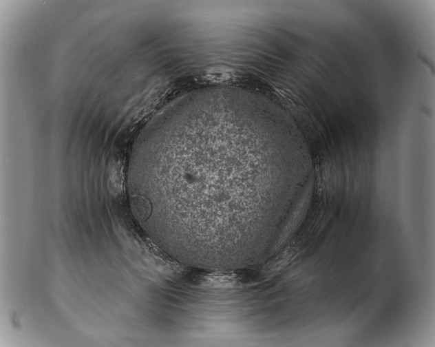 X0000103160606200809051701