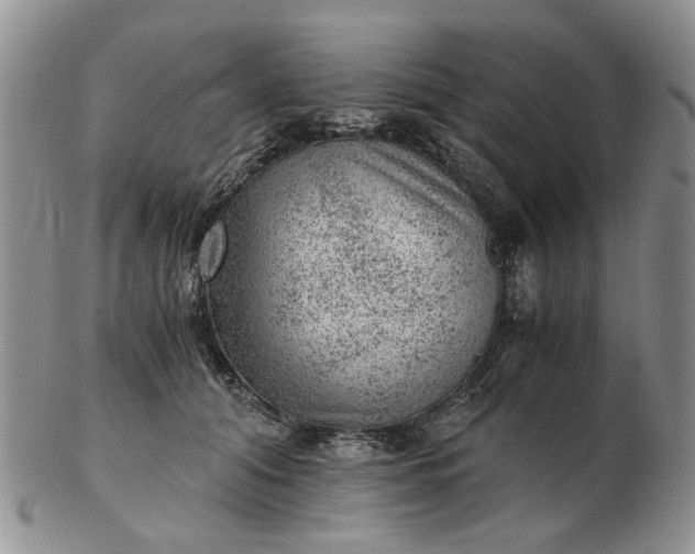 X0000103160608200809051701