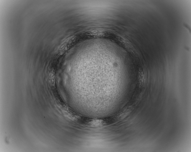 X0000103160609200809051701