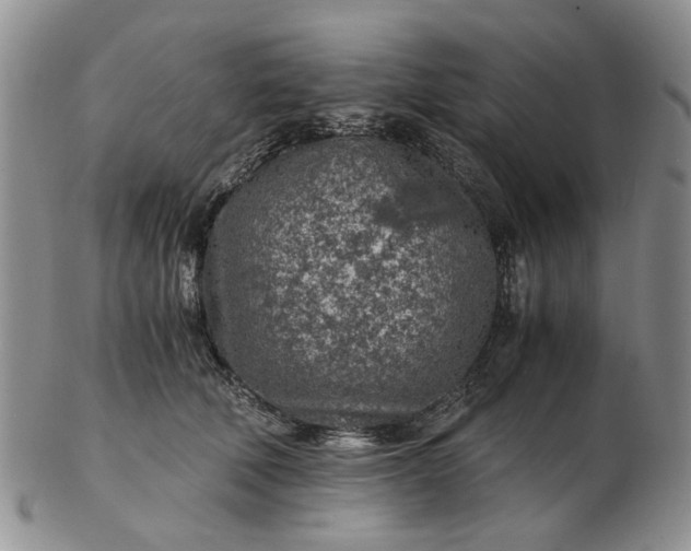 X0000103160610200809051701